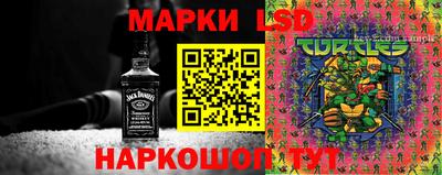 амф Пугачёв