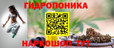 прущие грибы Пушкино